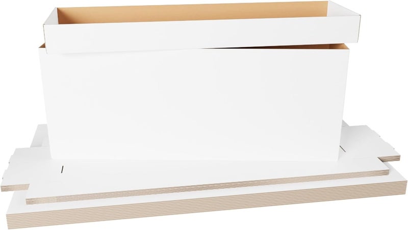 Max Protection Comic Book Storage Box - 5 Count Long ComicBook Boxes with White Corrugated Cardboard - Stackable Bin, Thick Case, Book Containers with Lid - Ideal for Comics, Magazines, Collectibles - Image 1
